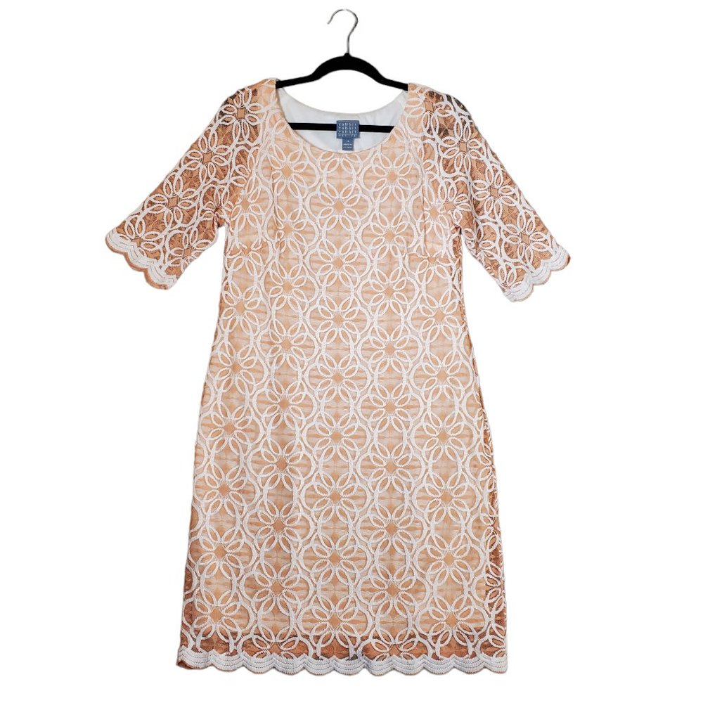 Rabbit Rabbit Rabbit Petite sz 14 Lace Sheath Dress Blush with White Embroidery